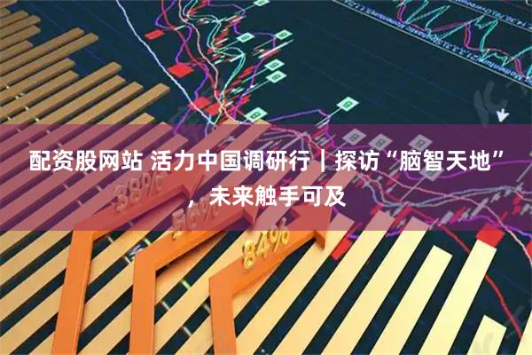 配资股网站 活力中国调研行｜探访“脑智天地”，未来触手可及